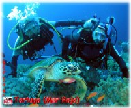 Marcos y Luis con una tortuga